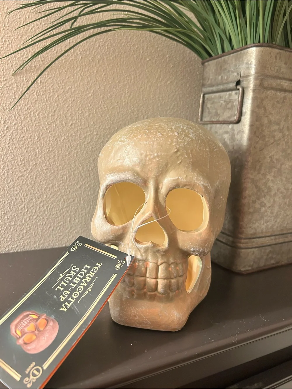 Target Bullseye Halloween Terracotta Light Up Skull